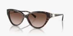 Emporio Armani EA4192 502613 - Işıltılı Havana Kadın Güneş Gözlüğü