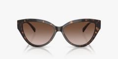 Emporio Armani EA4192 502613 - Işıltılı Havana Kadın Güneş Gözlüğü