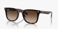 Ray-Ban RB4420 710/13 - Unisex Güneş Gözlüğü