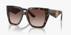 Dolce & Gabbana DG4438 502/13 - Havana Kadın Güneş Gözlüğü